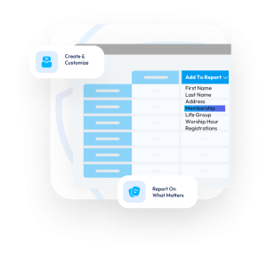 TouchPoint's Custom Reporting